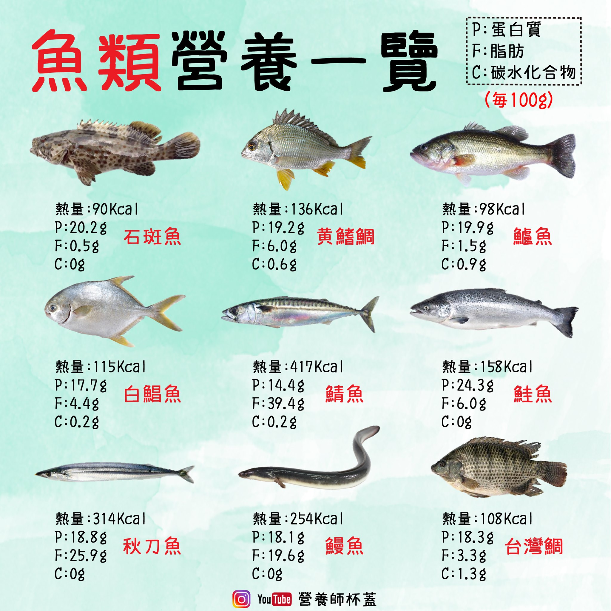 各種常見魚類營養解析,2024年最詳細的魚肉攻略 by營養師杯蓋 | 增重學院