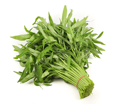 營養師杯蓋,食物營養熱量,空心菜,Water convolvulus,Water spinach