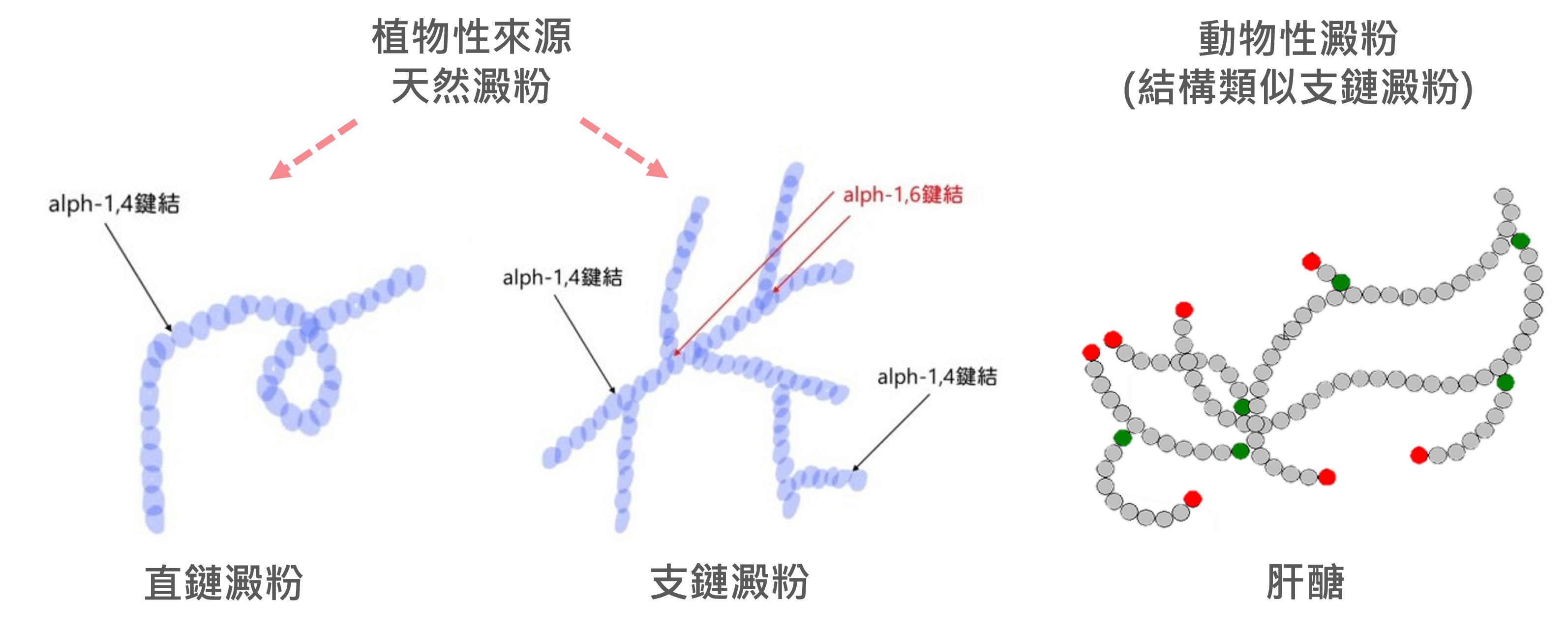 吃冷飯可以減肥嗎？解析3大不同性質澱粉！ | 增重學院