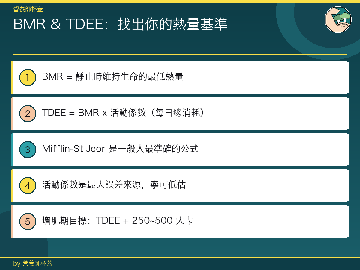 BMR 與 TDEE 計算：找出你的熱量基準 | 增重學院
